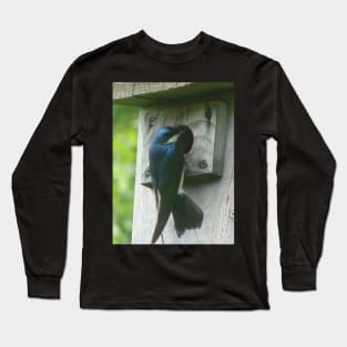 Swallow Bird Checking Out a Birdhouse Long Sleeve T-Shirt